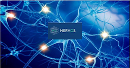 Nervos Network